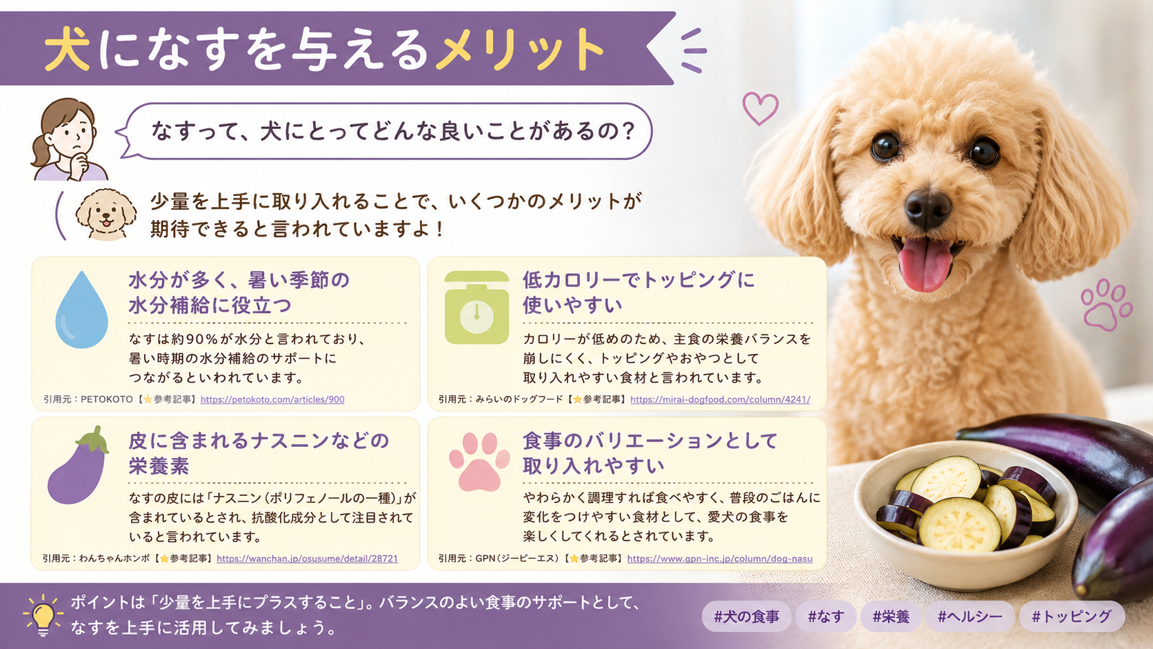 犬 なすは食べても大丈夫？安全な与え方・注意点・適量を解説
