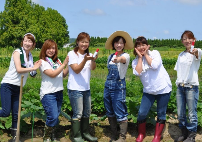 なす 生産量 ランキング｜全国でどの県がトップか徹底比較【最新データ】