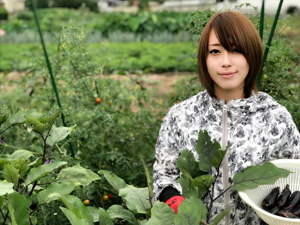 家庭菜園でできる対策