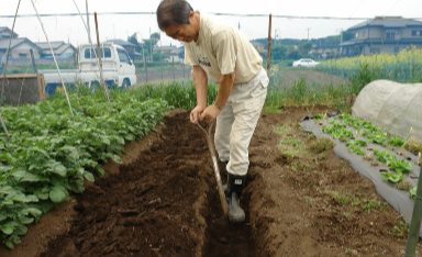 水をあげているのに株が元気にならない主な原因