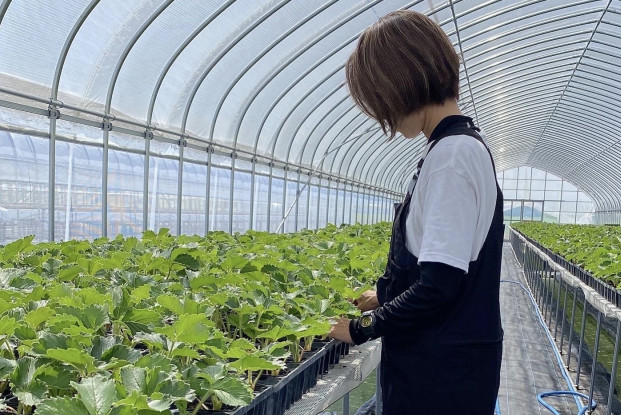 家庭菜園でできる対策