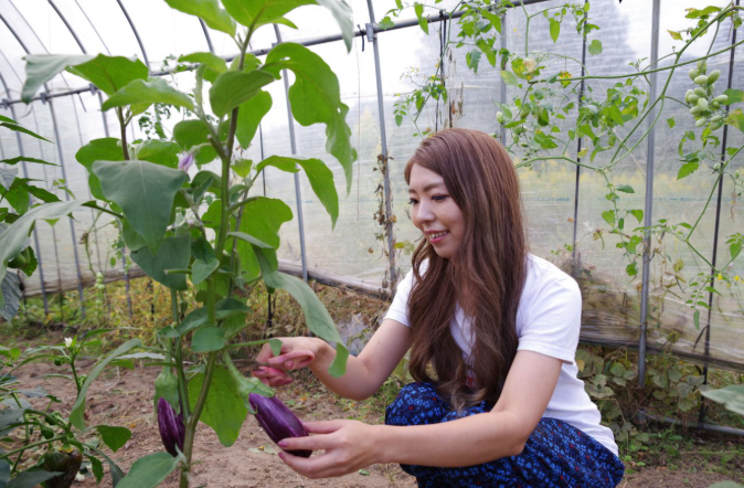 家庭菜園でできる対策