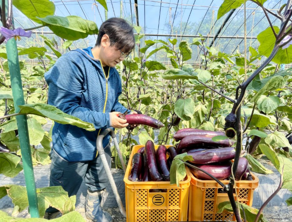 元気だった株が急にしおれる主な原因