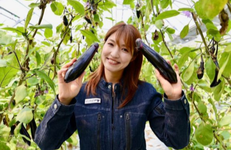 家庭菜園でできる対策