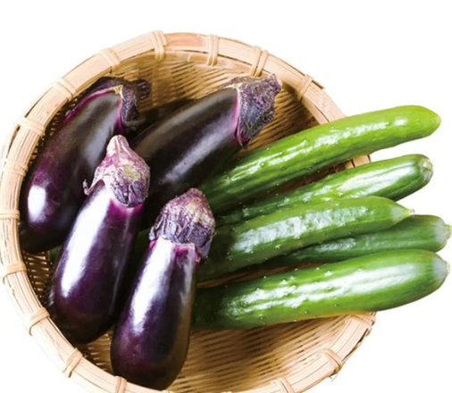 朝見ると葉が大きく食べられている主な原因