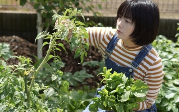 なす 敷きわら 効果のFAQとまとめ