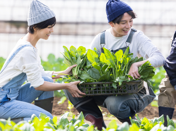 家庭菜園でできる対策