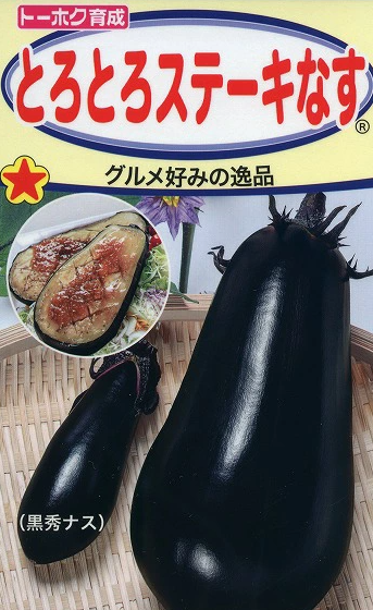 再発を防ぐ日々の管理