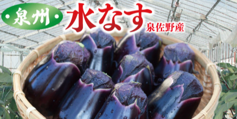 なす 液肥 頻度 プランターのFAQとまとめ