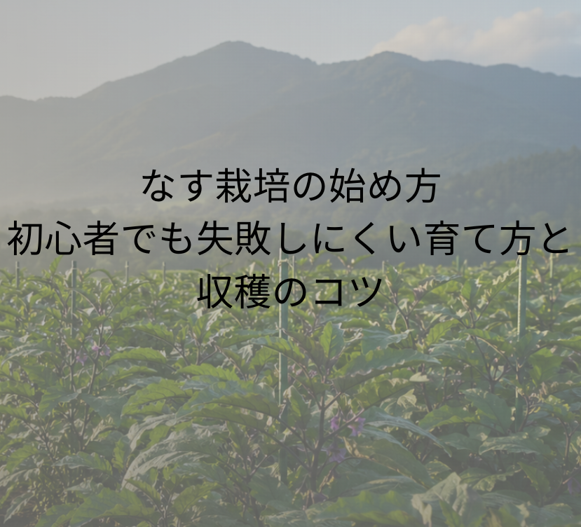 なす栽培の始め方｜初心者でも失敗しにくい育て方と収穫のコツ